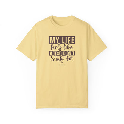 Funny Life Challenges T-shirt, Complaining About Life Tee, Humorous Unisex Shirt, Sarcastic Graphic Tee, Gift for Test Anxiety - Quirkside Creations