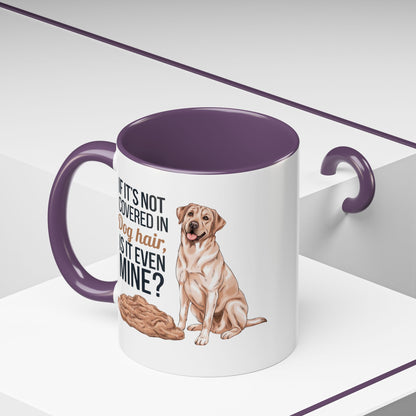 Dog Lover's Coffee Mug - Perfect Gift for Pet Owners, Dog-Themed Drinkware, Funny Dog Hair Quote Mug, Cute Canine Gift, Animal Lover's [...]