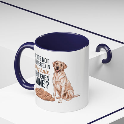 Dog Lover's Coffee Mug - Perfect Gift for Pet Owners, Dog-Themed Drinkware, Funny Dog Hair Quote Mug, Cute Canine Gift, Animal Lover's [...]