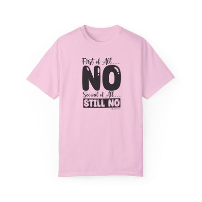Funny No Means No Unisex Garment-Dyed T-shirt, Humorous Saying Tee, Sarcastic Graphic Shirt, Gift for Joke Lovers, Casual Top - Quirkside Creations