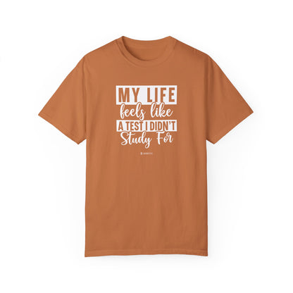 Funny Life Challenges T-shirt, Complaining About Life Tee, Humorous Unisex Shirt, Sarcastic Graphic Tee, Gift for Test Anxiety - Quirkside Creations