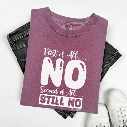 Funny No Means No Unisex Garment-Dyed T-shirt, Humorous Saying Tee, Sarcastic Graphic Shirt, Gift for Joke Lovers, Casual Top - Quirkside Creations