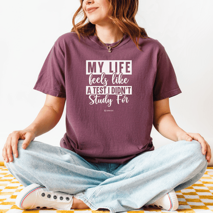 Funny Life Challenges T-shirt, Complaining About Life Tee, Humorous Unisex Shirt, Sarcastic Graphic Tee, Gift for Test Anxiety - Quirkside Creations
