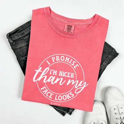 Funny Nice Person Inside Statement, Unisex Garment-Dyed T-shirt, Humorous Tee, Sarcastic Graphic Shirt, Unique Gift Idea, Cool Top - Quirkside Creations