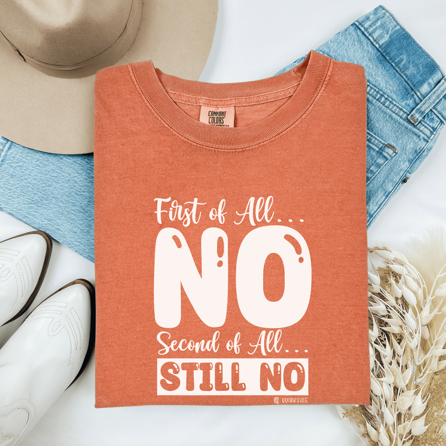 Funny No Means No Unisex Garment-Dyed T-shirt, Humorous Saying Tee, Sarcastic Graphic Shirt, Gift for Joke Lovers, Casual Top - Quirkside Creations