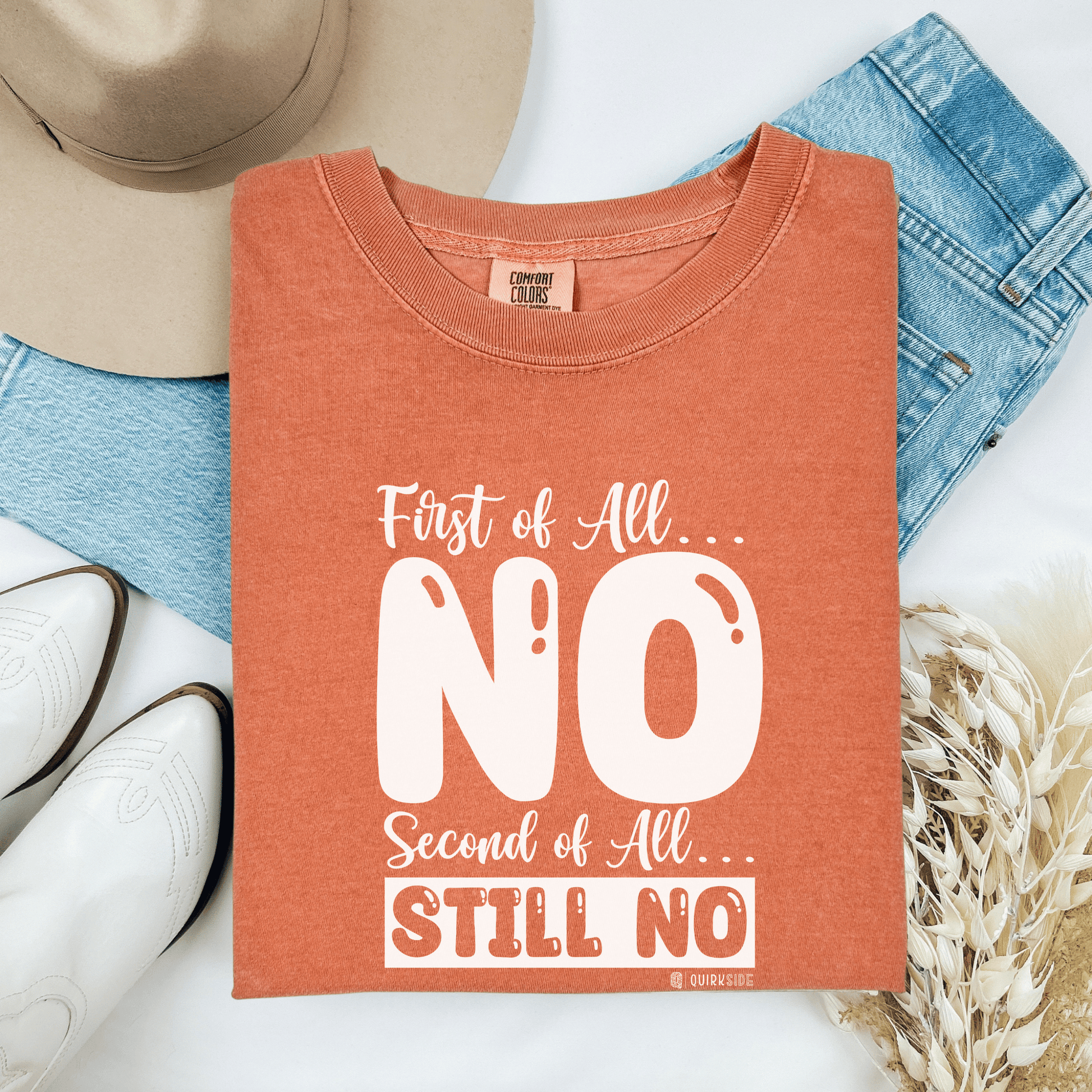 Funny No Means No Unisex Garment-Dyed T-shirt, Humorous Saying Tee, Sarcastic Graphic Shirt, Gift for Joke Lovers, Casual Top - Quirkside Creations