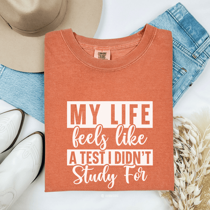 Funny Life Challenges T-shirt, Complaining About Life Tee, Humorous Unisex Shirt, Sarcastic Graphic Tee, Gift for Test Anxiety - Quirkside Creations
